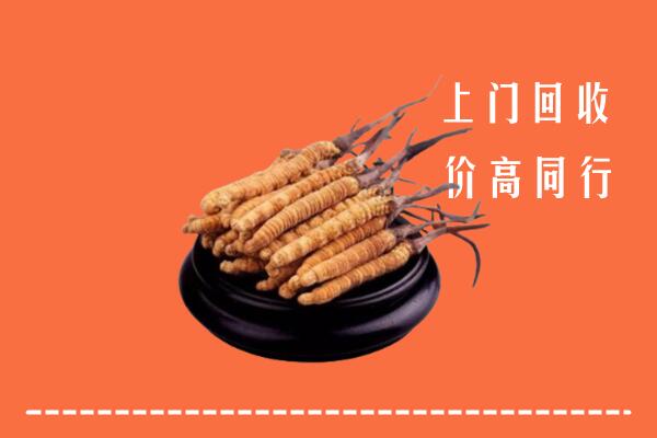附近收购：伊春冬虫夏草回收多少钱每克